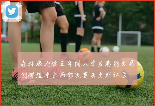森林狼连续五年闯入季后赛能否再创辉煌冲击西部决赛历史新纪录